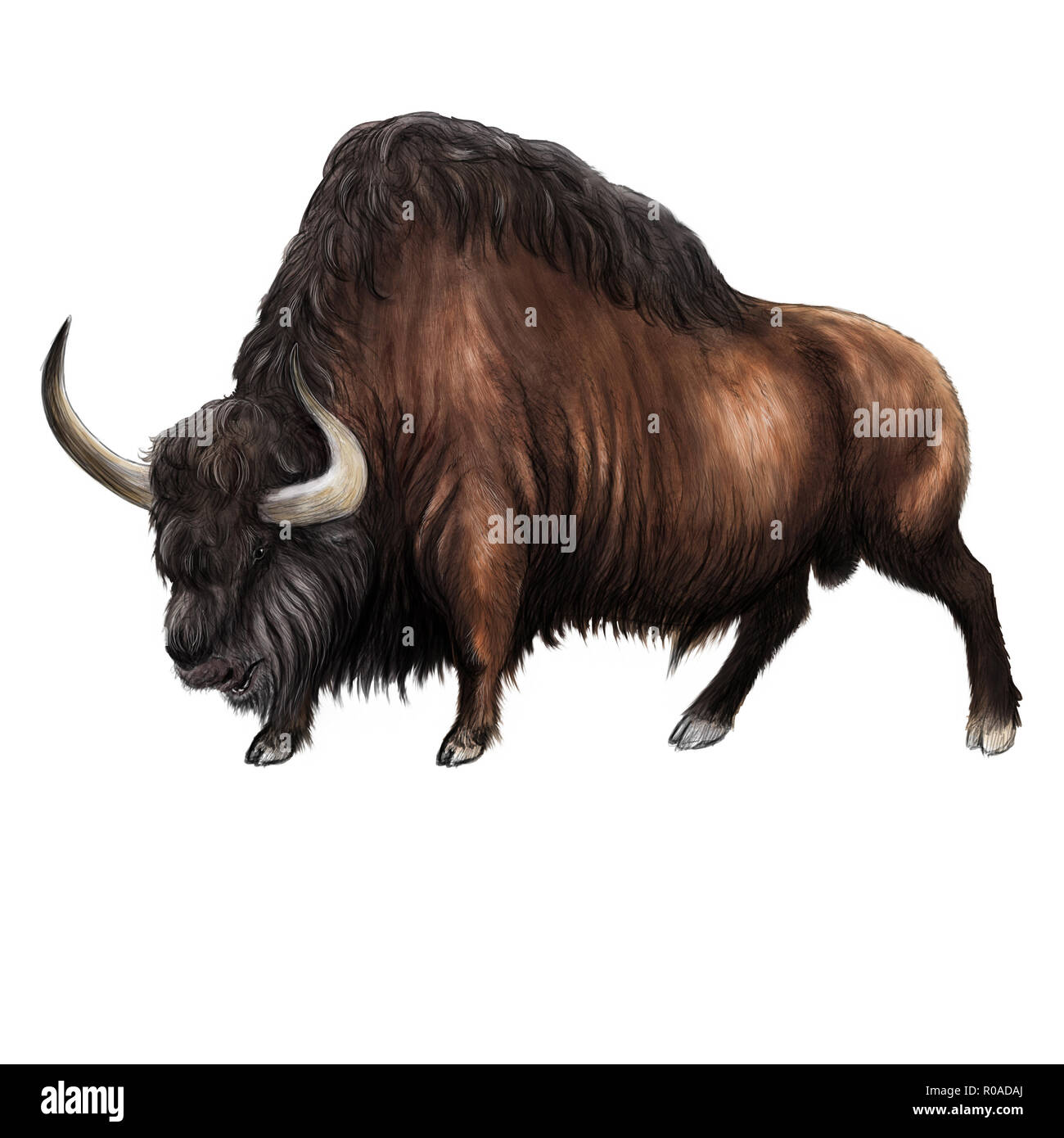 Extint Steppe bison digitale Illustration Stockfoto