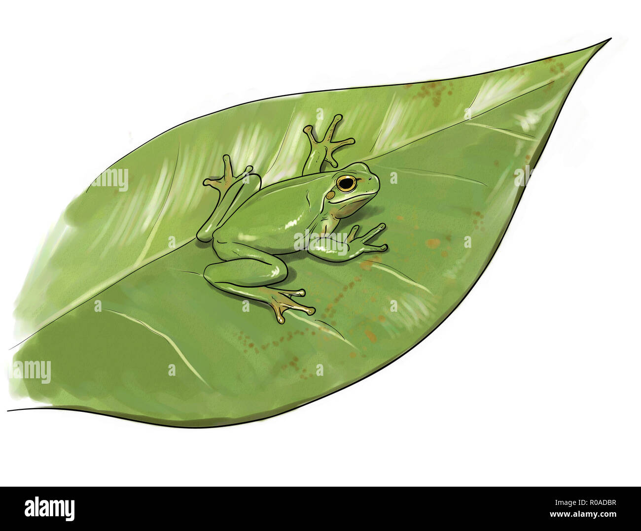 Laubfrosch camouflage digitale Illustration Stockfoto