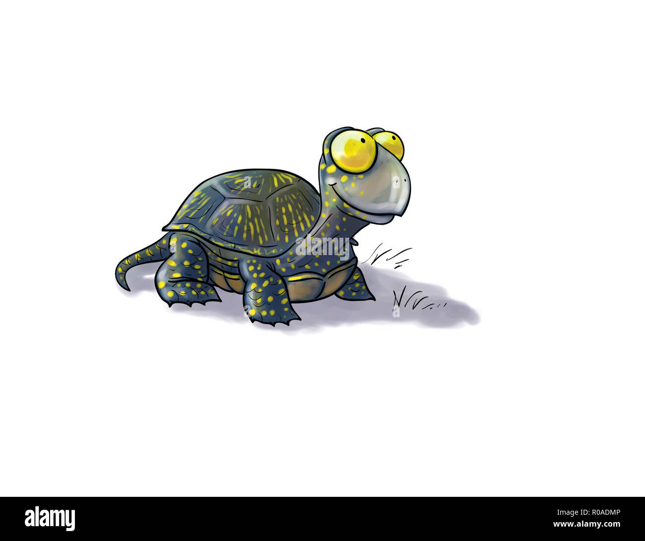 Digitale toon Abbildung einer Schildkröte isoliert Stockfoto