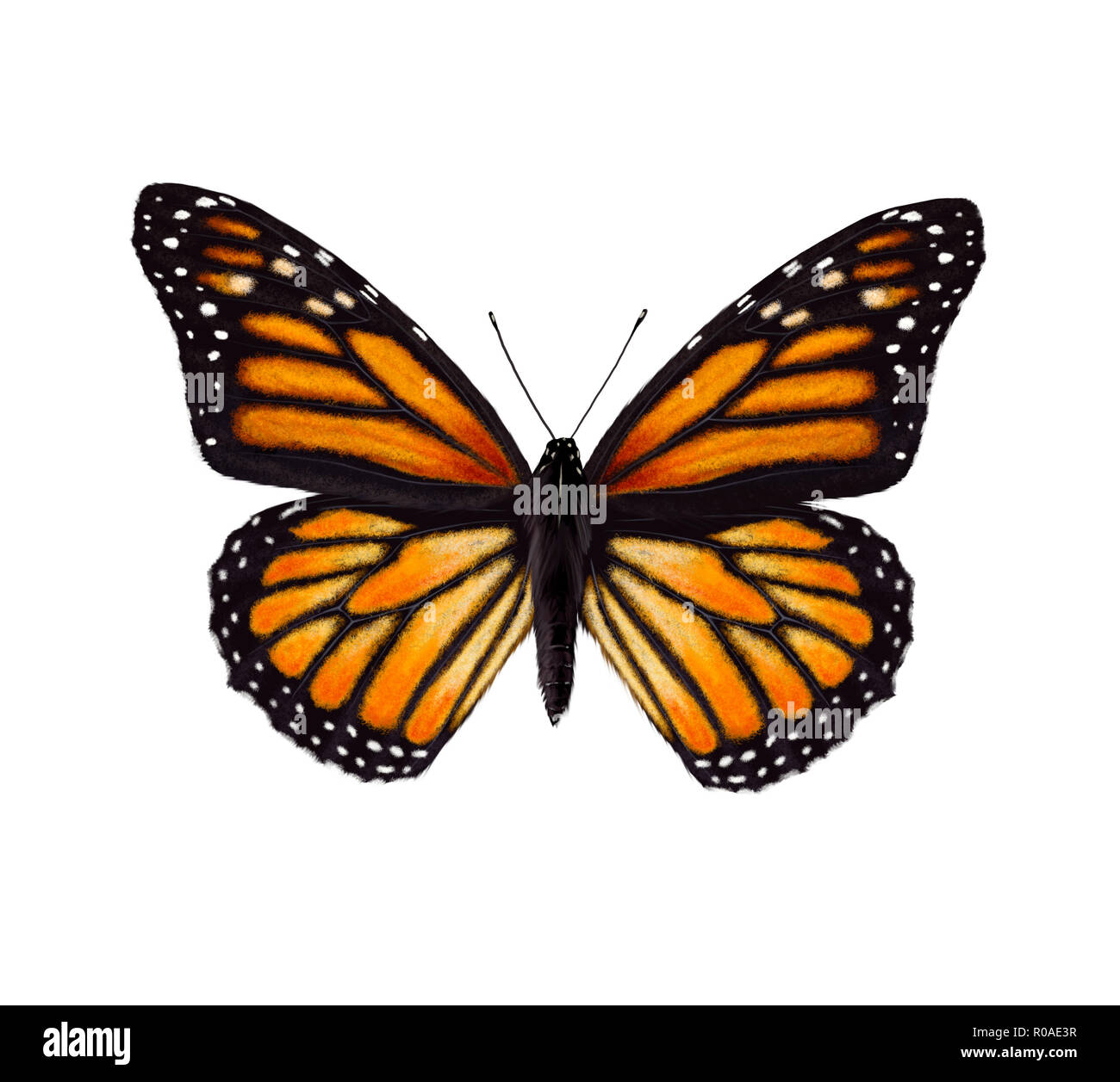 Digitale Illustration eines monarch butterfly Stockfoto