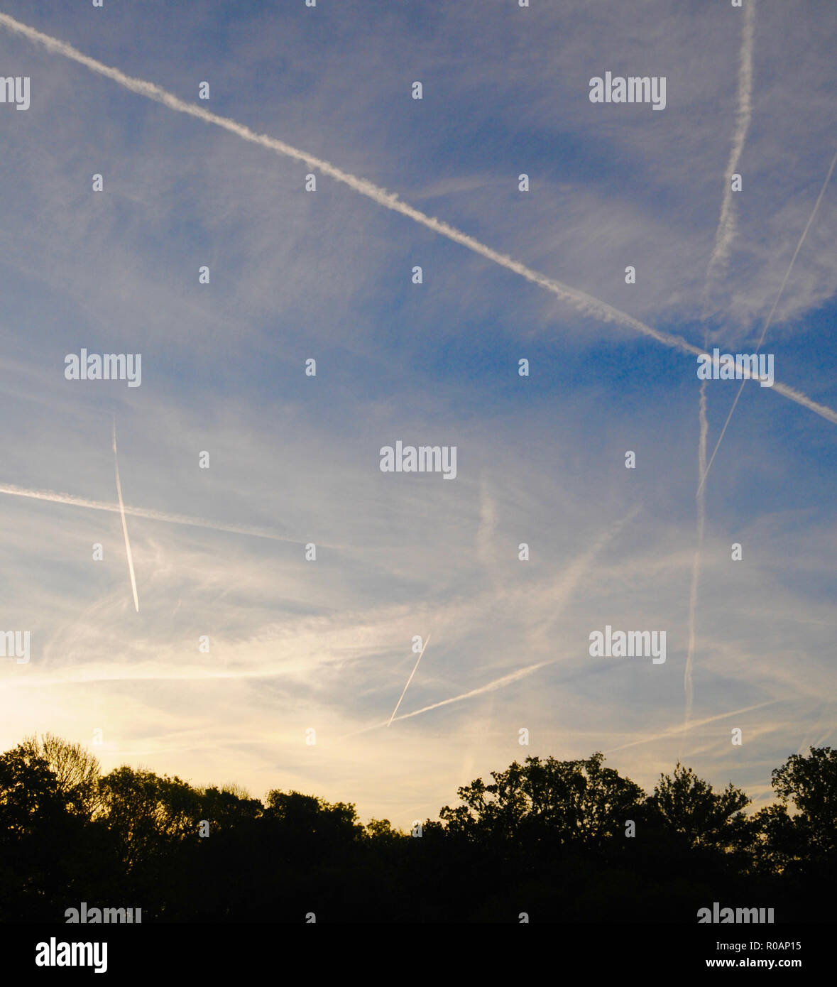 Kondensstreifen, auch Kondensstreifen oder Vapor Trail, Streamer von Cloud manchmal hinter einem Flugzeug fliegen in klaren kalten feuchten Luft beobachtet. Es bildet auf die Kondensation von Wasserdampf durch die Verbrennung von Kraftstoff im Flugzeug Motoren produziert. Wenn die relative Luftfeuchtigkeit hoch ist, die daraus resultierenden ice-crystal Plume kann mehrere Stunden dauern. Die Spur kann durch die Winde verzerrt werden, und manchmal es breitet sich nach außen eine Schicht von Zirruswolken zu bilden. Diese wurden im Süden von England in den frühen Morgenstunden fotografiert. Stockfoto