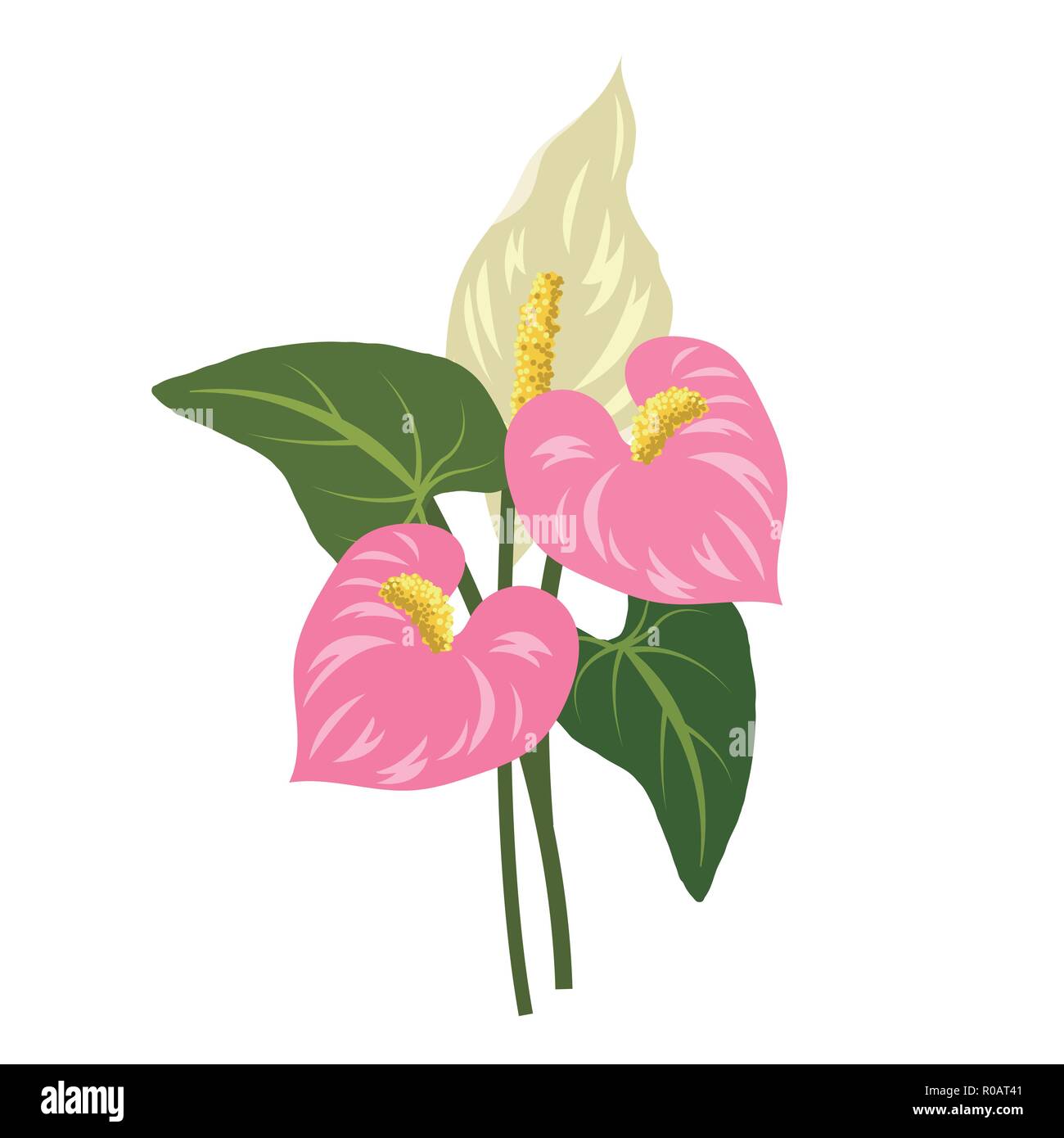 Natur Blumen rosa Anthurium flamingo Blume, Vektor botanischer Garten Blumen Blatt Pflanze Stock-Vektorgrafik
