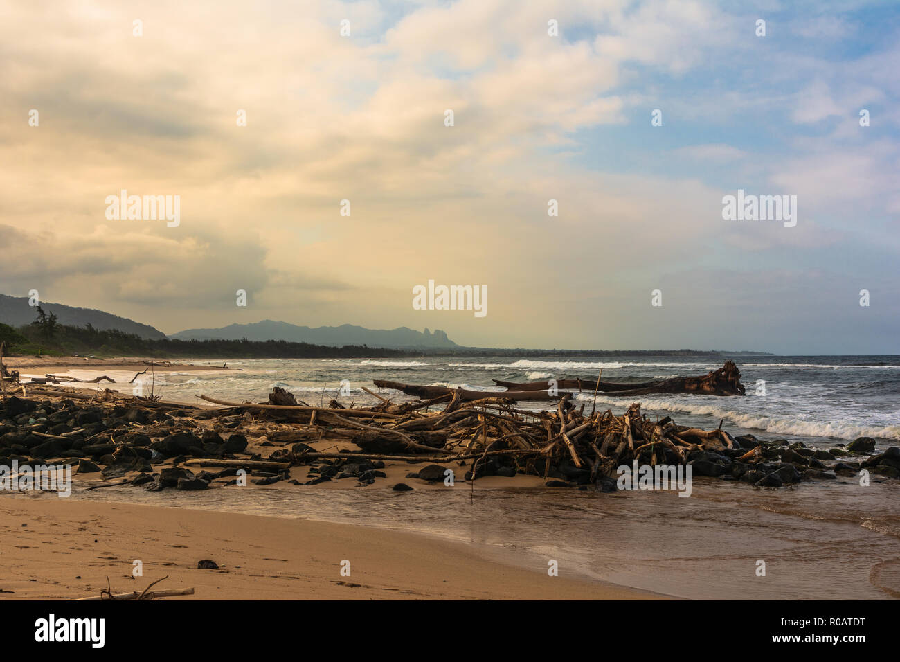 Tote Bäume am Strand bei Sonnenaufgang entlang Nukolii Beach Park, Kauai, Hawaii Stockfoto