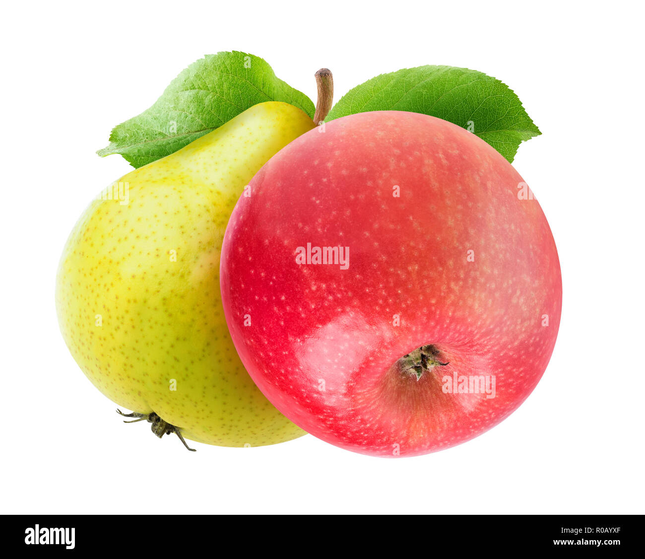 Zwei isolierte Früchte auf einem Zweig. Gelb Grün Birne und Apfel mit Blättern auf weißem Hintergrund mit Freistellungspfad isoliert Stockfoto