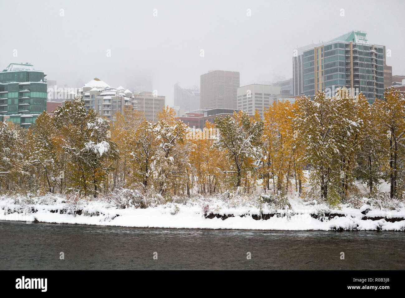 Prince's Island Park am Bow River in der Innenstadt von Calgary nach einem rekordverdächtigen Schneefall Anfang Oktober, Kanada Stockfoto