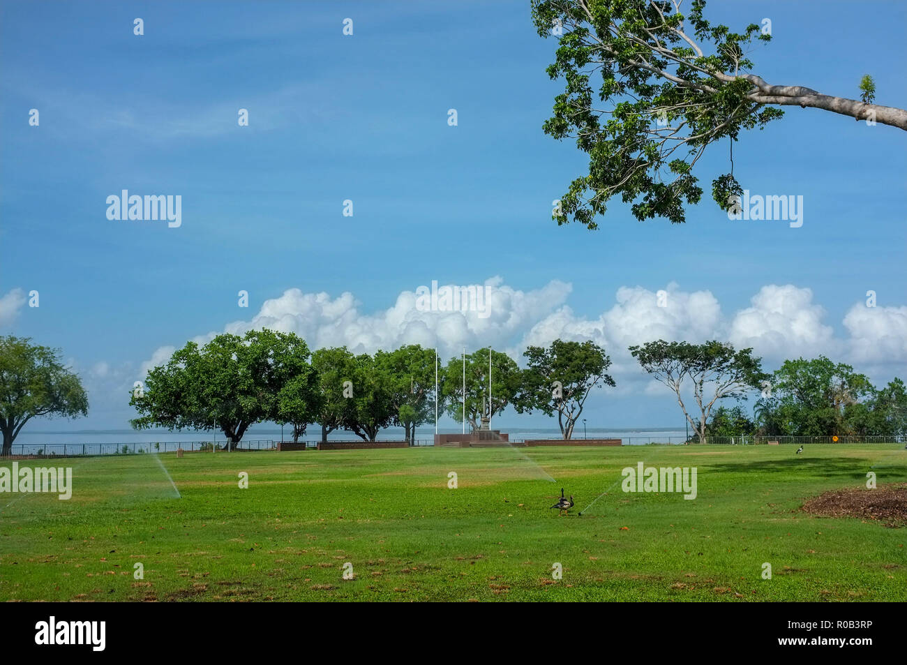 Den Bicentennial Park im Stadtzentrum von Darwin, Darwin ist die Hauptstadt des Northern Territory von Australien. Im Hintergrund ist der Darwin City Kenotaph. Stockfoto