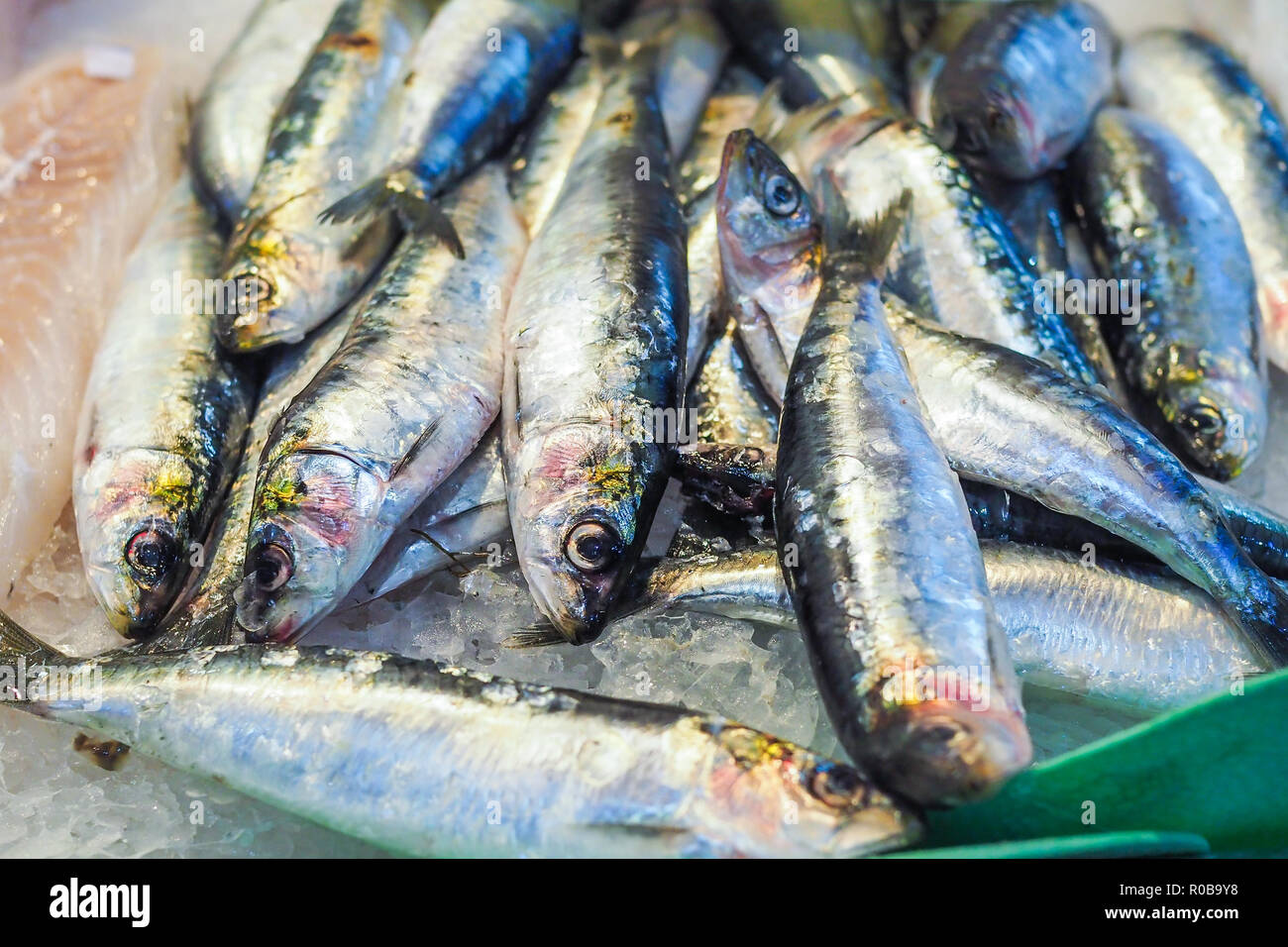 Frische Fische zum Verkauf in Palma de Mallorca. Stockfoto