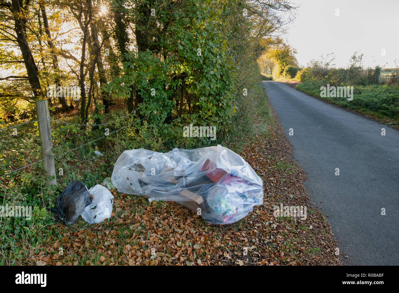 Fliegen gespitzt, Kunststoff und Pappe Abfall auf einer Landstraße in den Cotswolds. Die schlachtet, Cotswolds, Gloucestershire, England Stockfoto