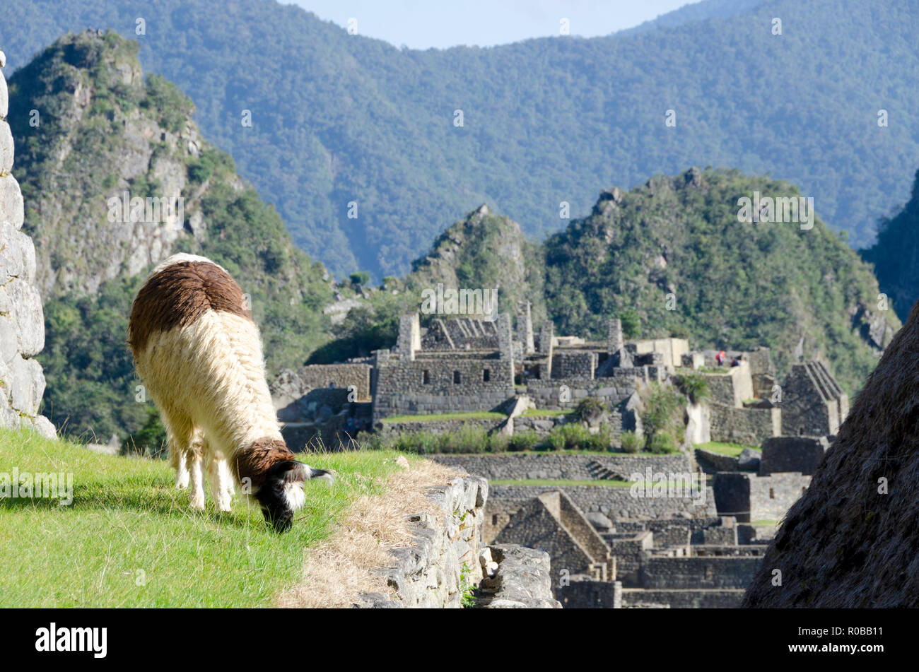 Machu Pichu, Peru Stockfoto