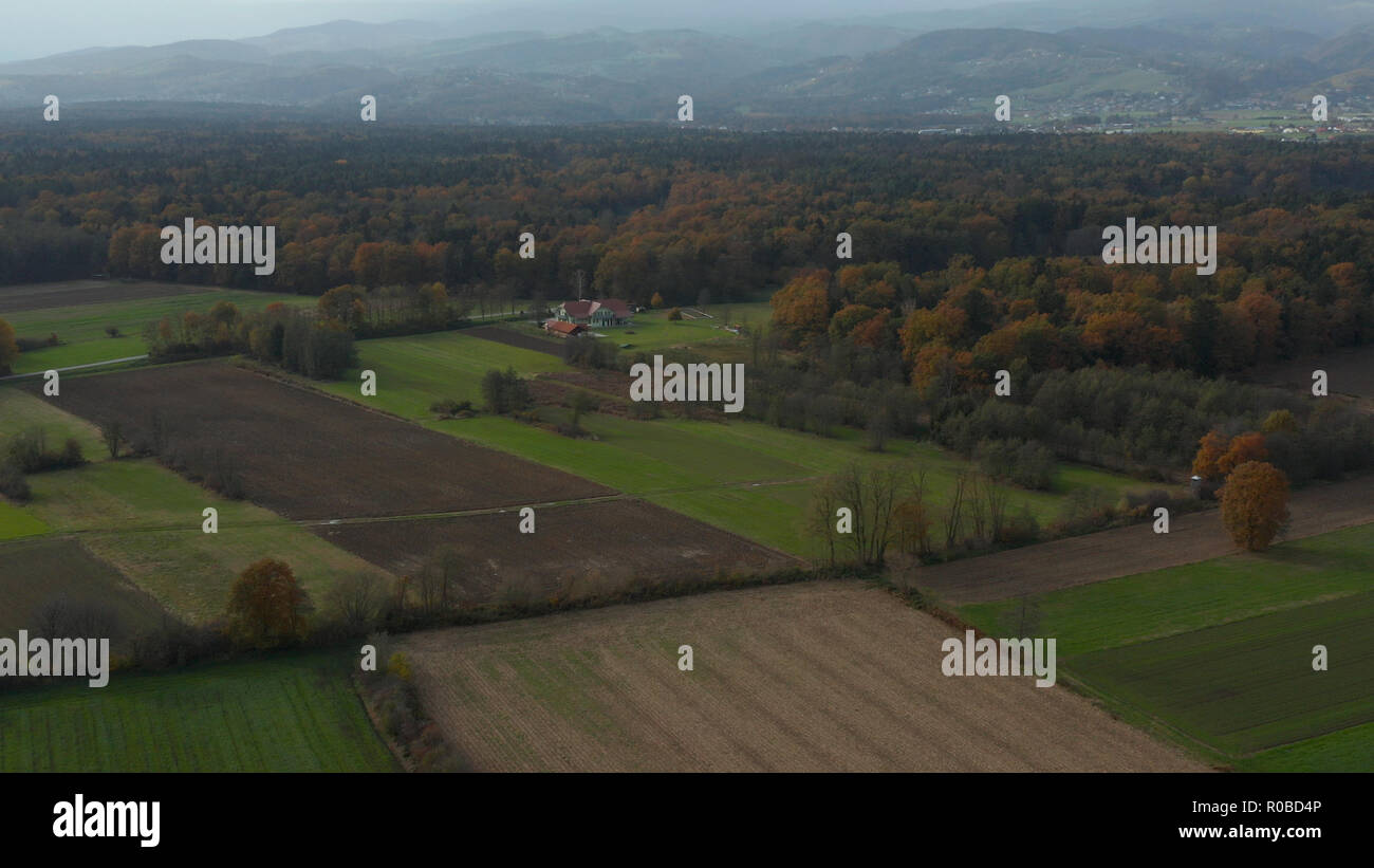 Luftaufnahme der Landschaft Ostsloweniens mit Feldern, Wald und Hecken, Hecken, die Felder und Wiesen teilen, Pohorje im Hintergrund Stockfoto