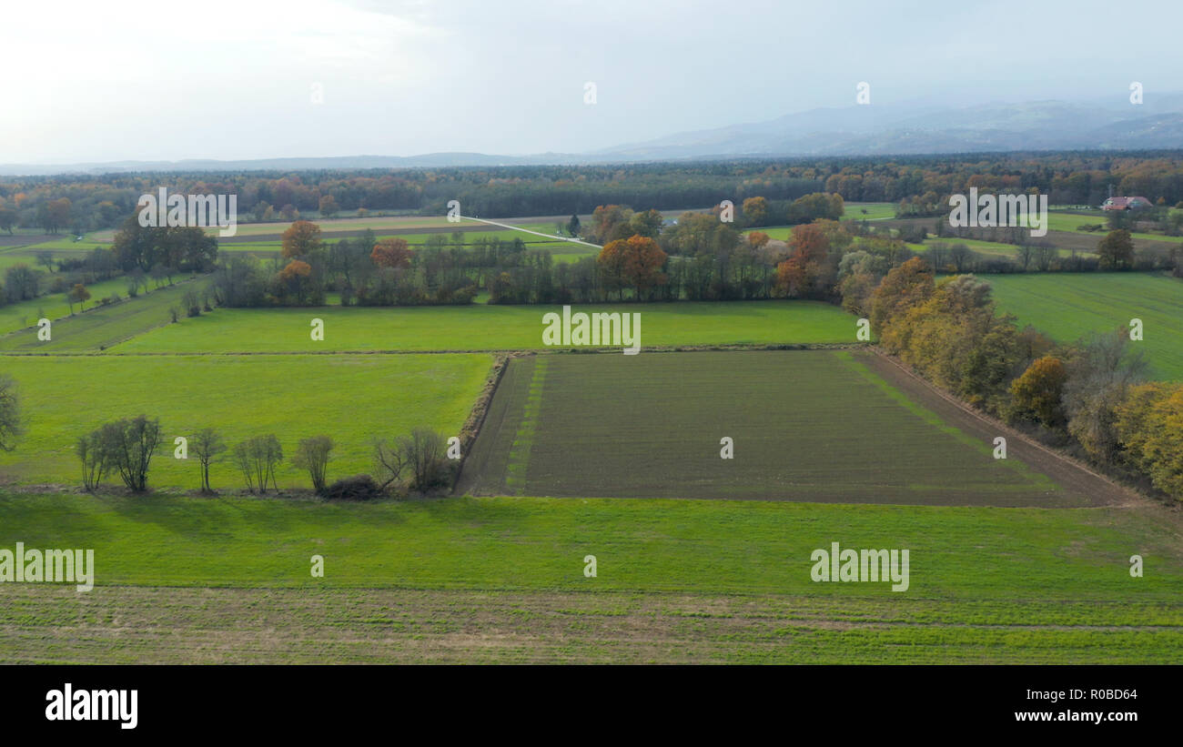 Luftaufnahme der Landschaft Ostsloweniens mit Feldern, Wald und Hecken, Hecken, die Felder und Wiesen teilen, Pohorje im Hintergrund Stockfoto