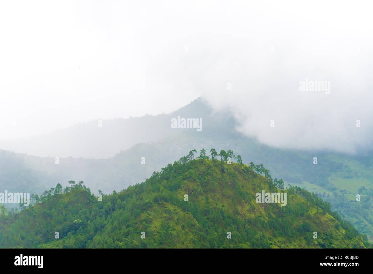 Blick in die Natur im Annapurna Conservation Area, einem Hotspot Ziel für Bergsteiger und Nepals größte Schutzgebiet. Stockfoto