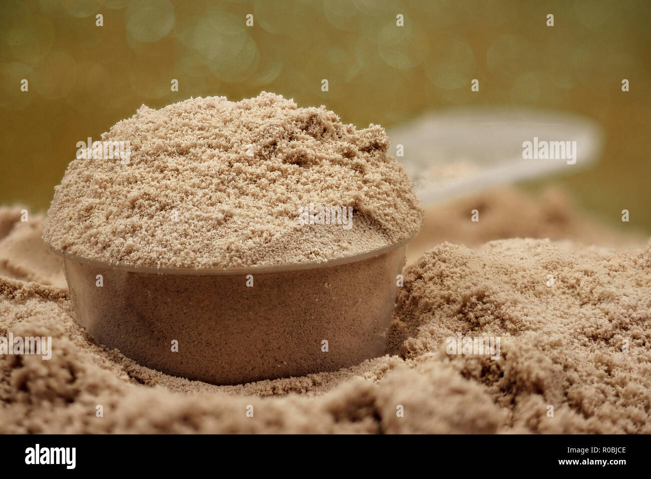 Protein Pulver für Fitness und Ernährung Stockfoto