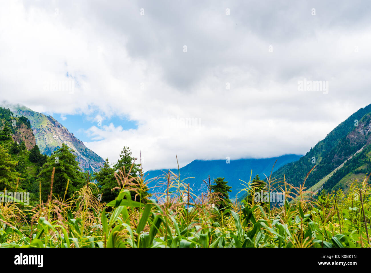 Blick in die Natur im Annapurna Conservation Area, einem Hotspot Ziel für Bergsteiger und Nepals größte Schutzgebiet. Stockfoto