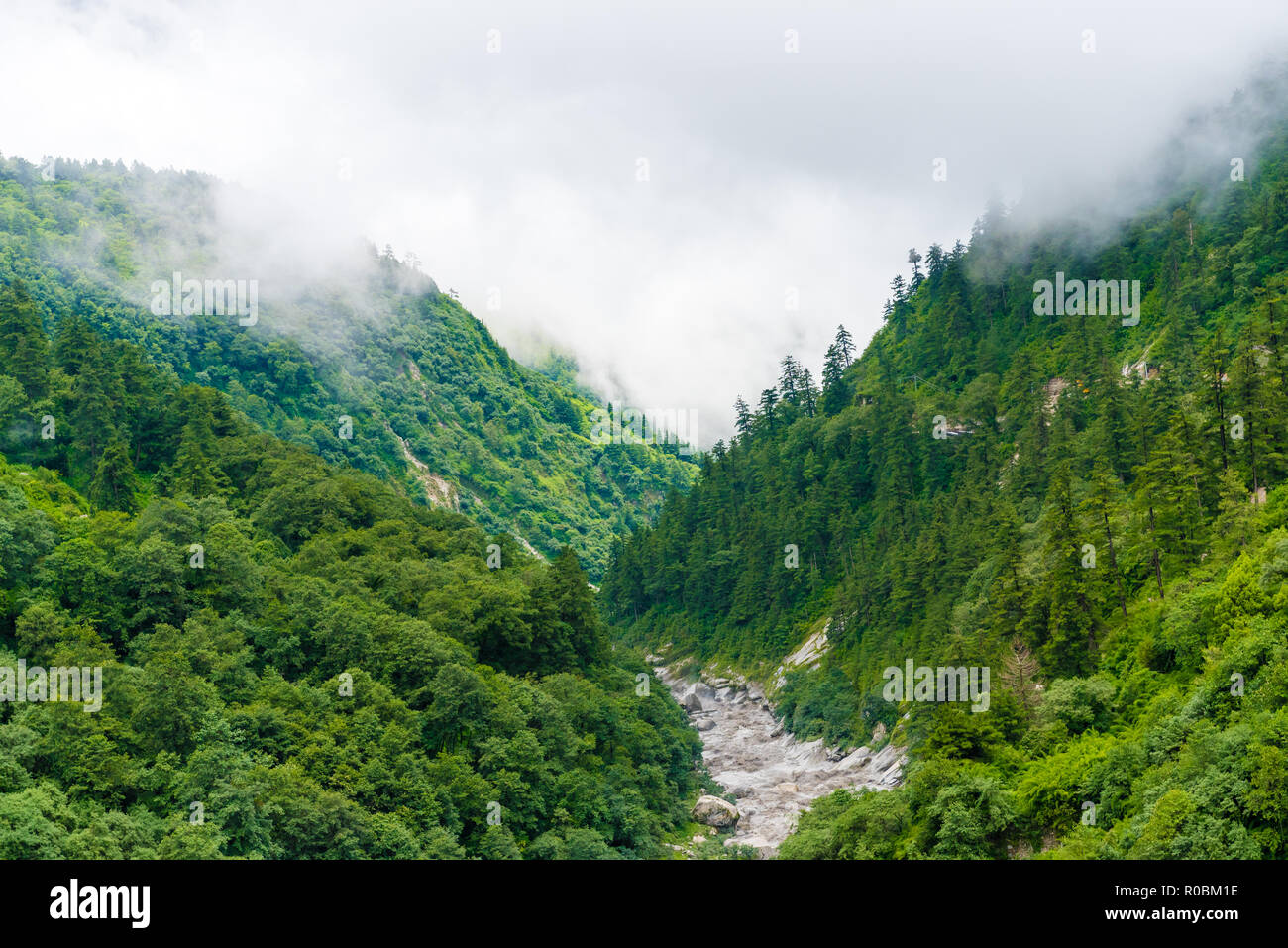 Blick in die Natur im Annapurna Conservation Area, einem Hotspot Ziel für Bergsteiger und Nepals größte Schutzgebiet. Stockfoto
