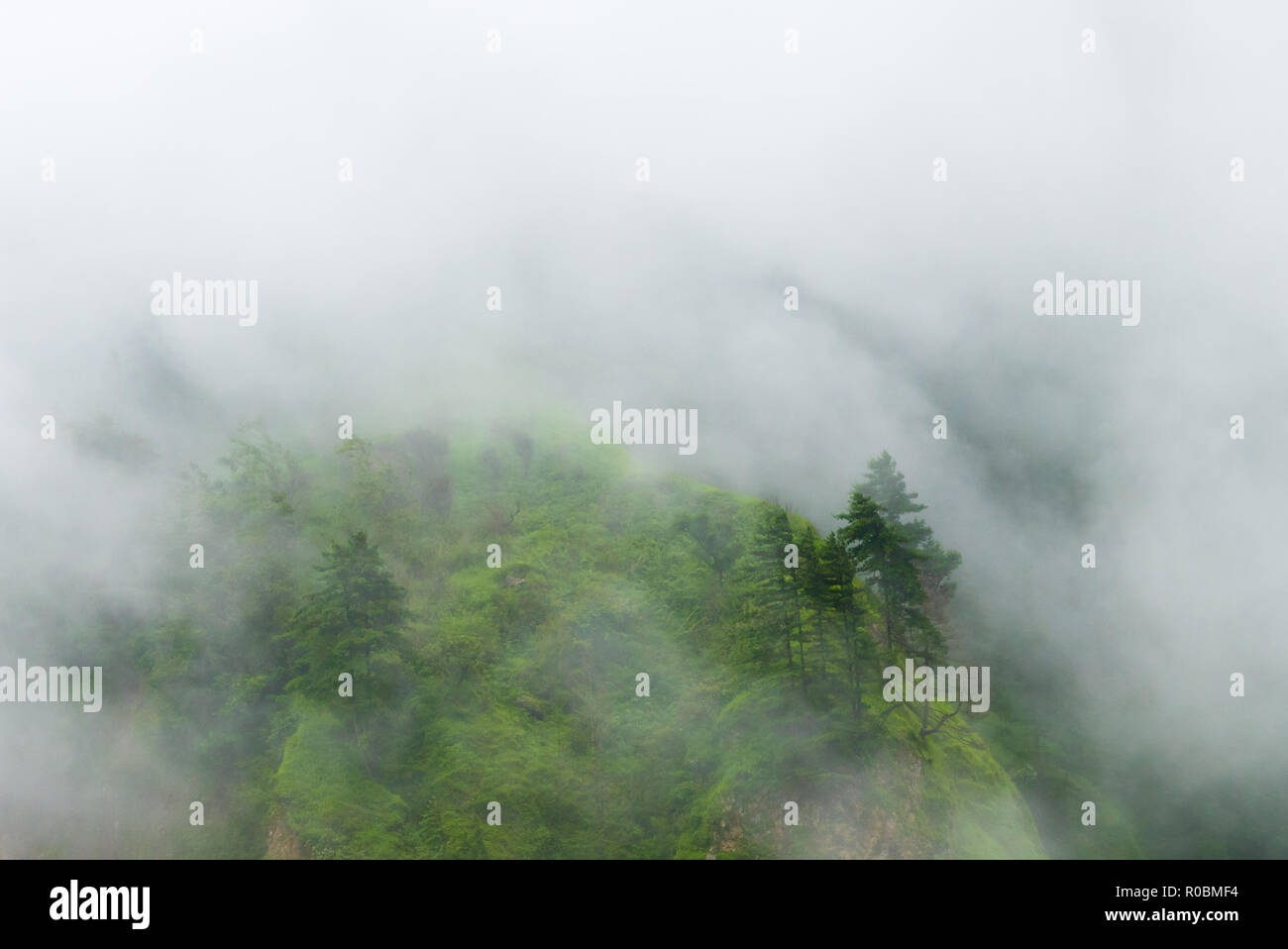 Blick in die Natur im Annapurna Conservation Area, einem Hotspot Ziel für Bergsteiger und Nepals größte Schutzgebiet. Stockfoto