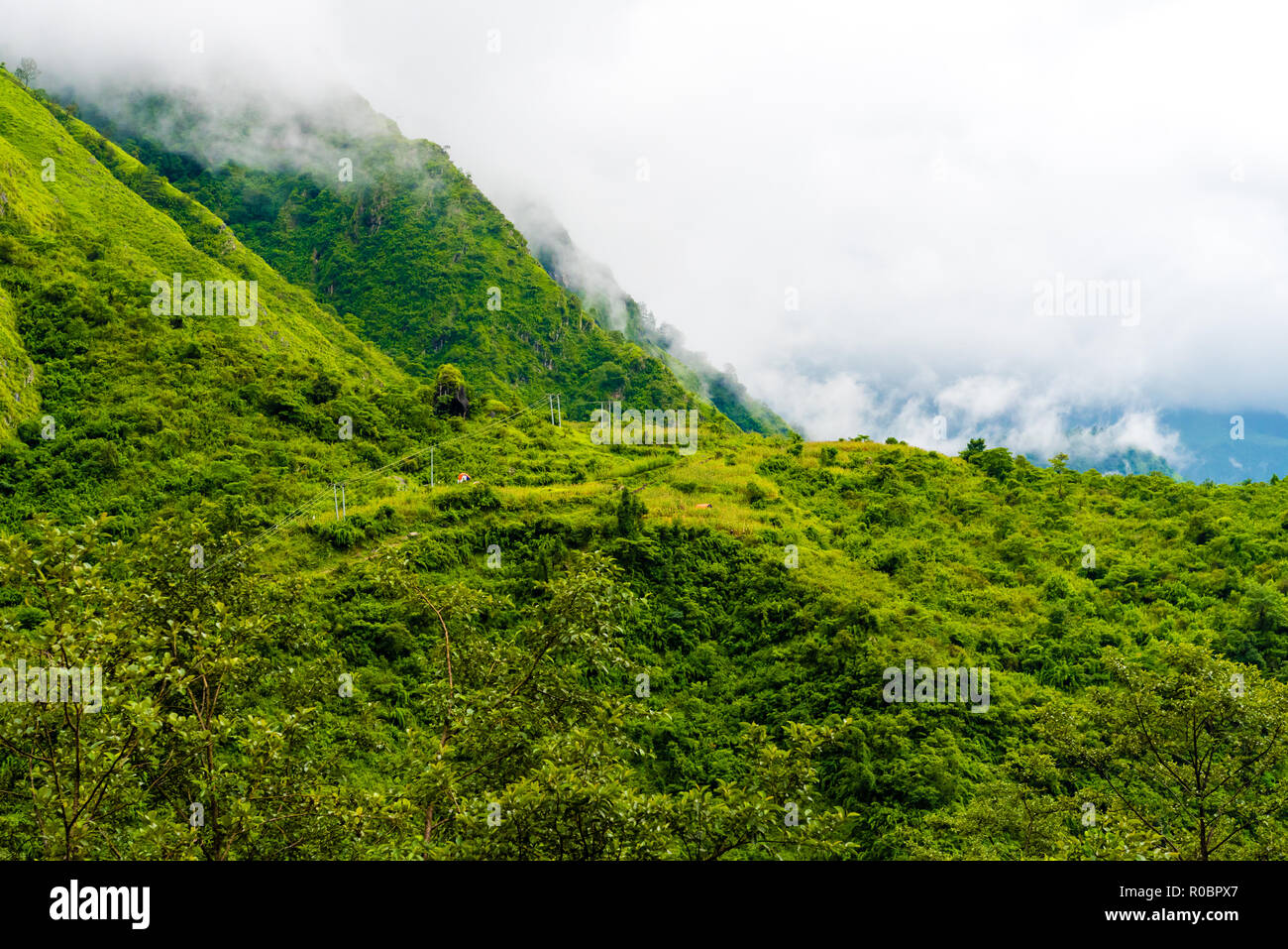 Blick in die Natur im Annapurna Conservation Area, einem Hotspot Ziel für Bergsteiger und Nepals größte Schutzgebiet. Stockfoto