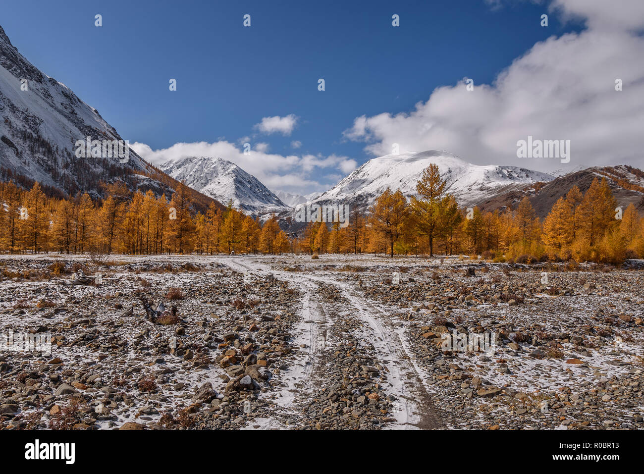 Erstaunlich Herbst Landschaft mit goldenen Lärchen, steiniger Weg und der erste Schnee in den Bergen gegen den blauen Himmel mit Wolken Stockfoto