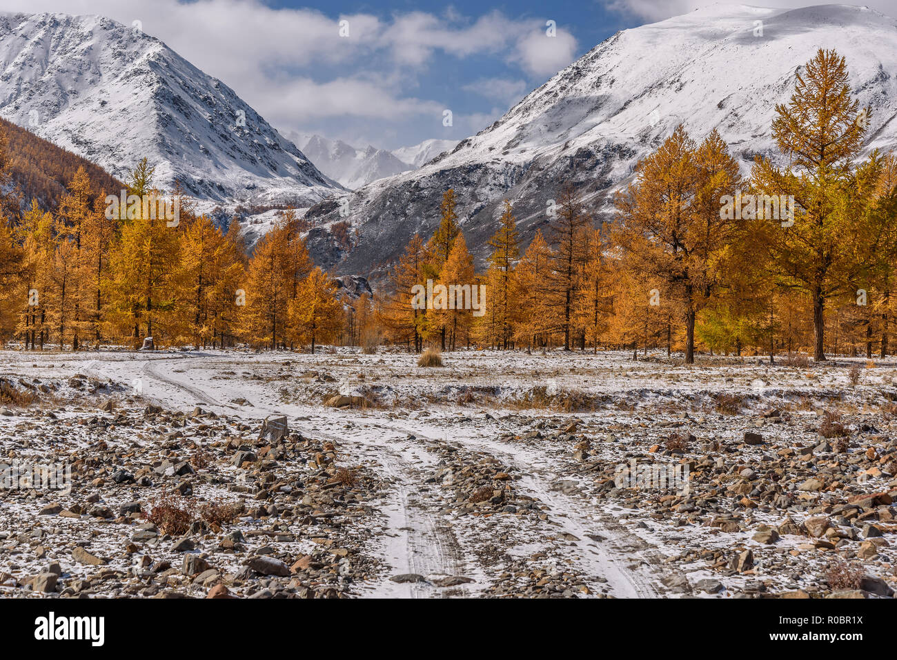 Erstaunlich Herbst Landschaft mit goldenen Lärchen, steiniger Weg und der erste Schnee in den Bergen gegen den blauen Himmel mit Wolken Stockfoto