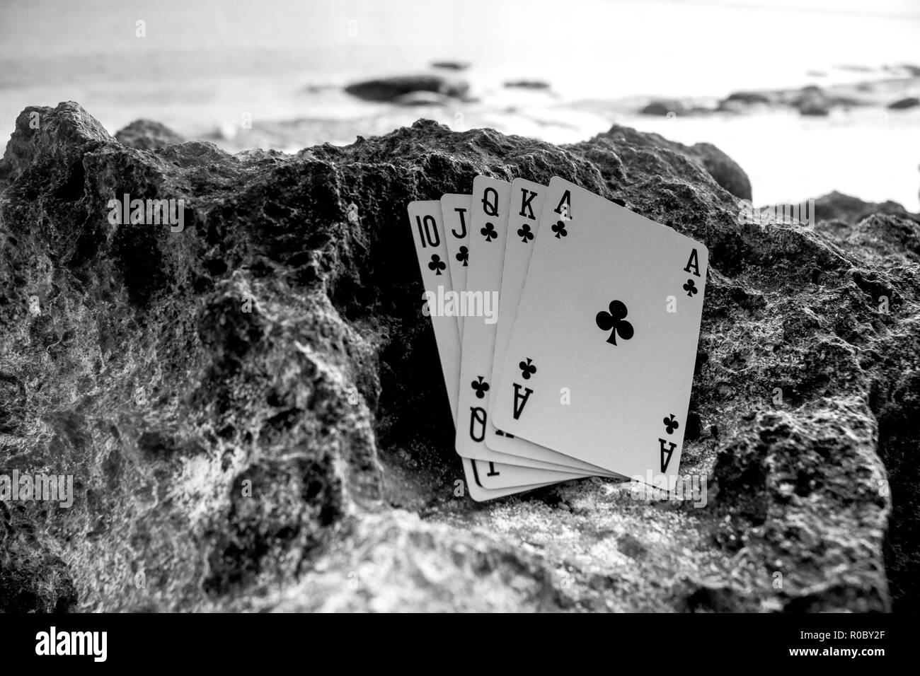 Club Royal Flush poker card Schwarz und Weiß Thema Stockfoto