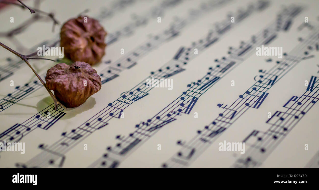 Musik Blatt mit trockenem Obst als ornamnet. Kunst und Musik Hintergrund Stockfoto