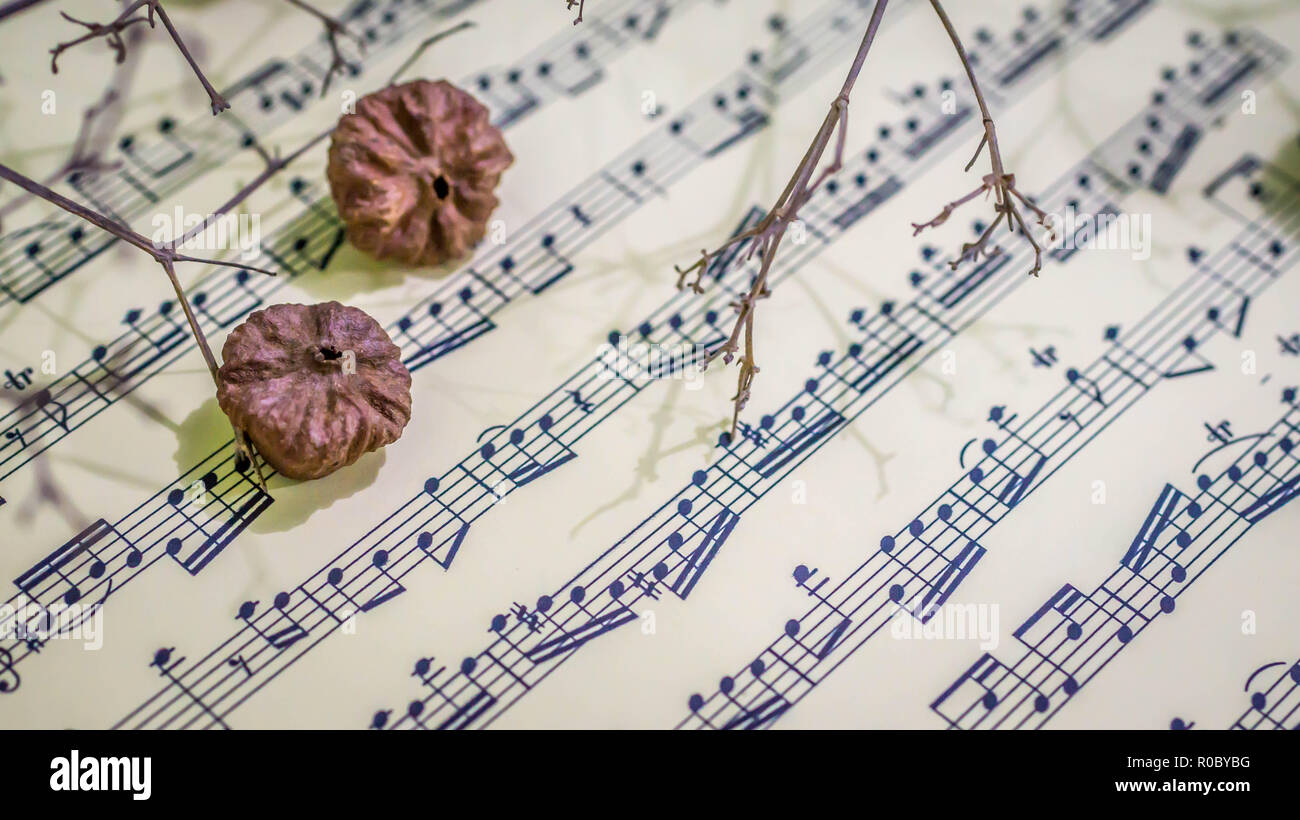 Musik Blatt mit trockenem Obst als ornamnet. Kunst und Musik Hintergrund Stockfoto