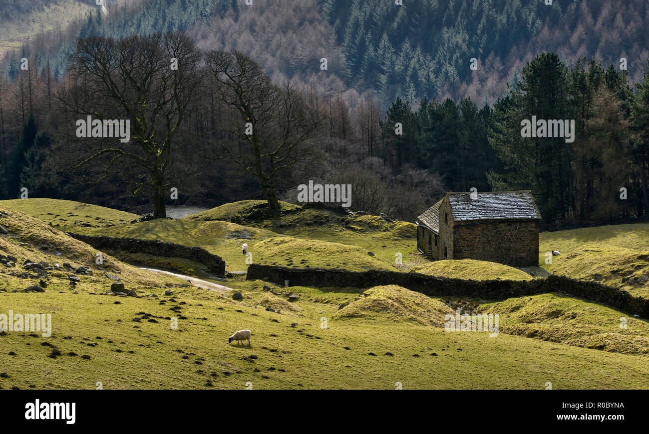 Bell Hagg Scheune, der Peak District, England (16) Stockfoto