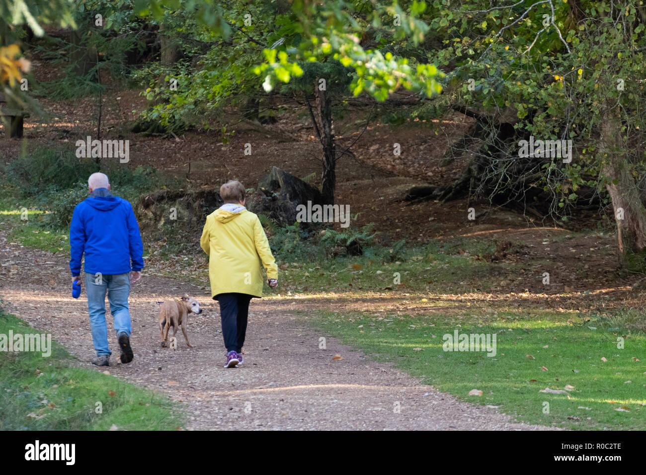 Rentnerehepaar Spaziergang mit dem Hund in der Natur tragen Regenmäntel Stockfoto