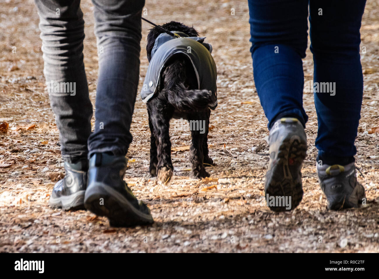 In der Nähe der beiden Völker Beine mit Hund an der Leine gehen vor Stockfoto