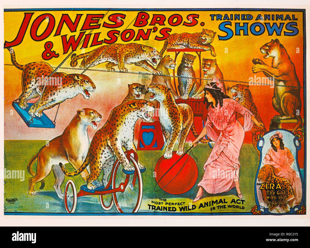 Jones Bros & Wilson's Ausgebildete Tier zeigt, 'Zira'das Mädchen mit dem Leoparden, Zirkus, Poster, Lithographie, 1914 Stockfoto