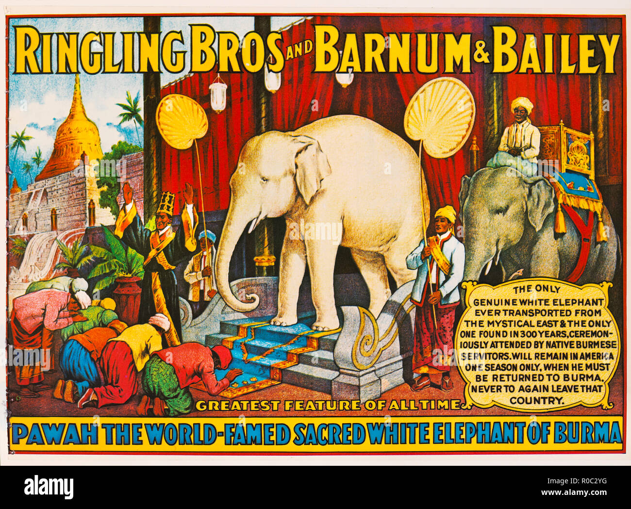 Ringling Bros. und Barnum & Bailey, der Pawah World-Famed Heiligen weißen Elefanten von Birma, Zirkus, Poster, Lithographie, 1927 Stockfoto