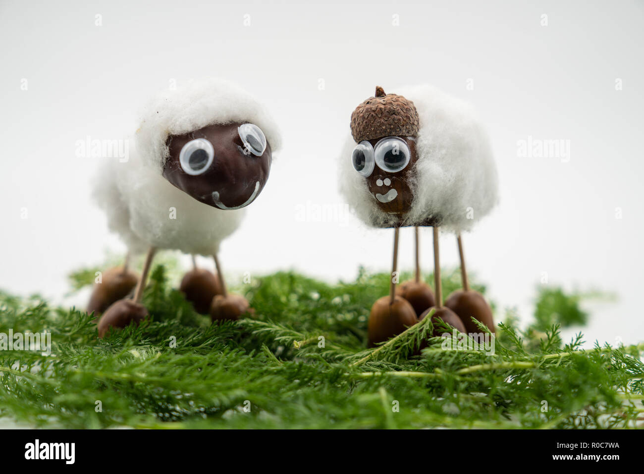 Kastanien Figuren wie die Schafe, die gegen einen isolierten weißen Hintergrund Stockfoto