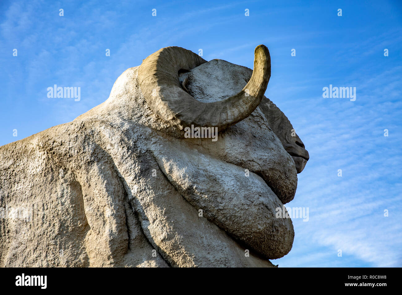 Big Merino konkrete Struktur der Wollindustrie in Goulburn, New South Wales, Australien Stockfoto