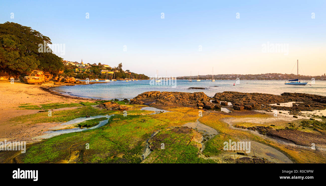 Einsiedler Bay in Sydney Harbour National Park bei Ebbe. Vaucluse, Sydney, New South Wales. Stockfoto
