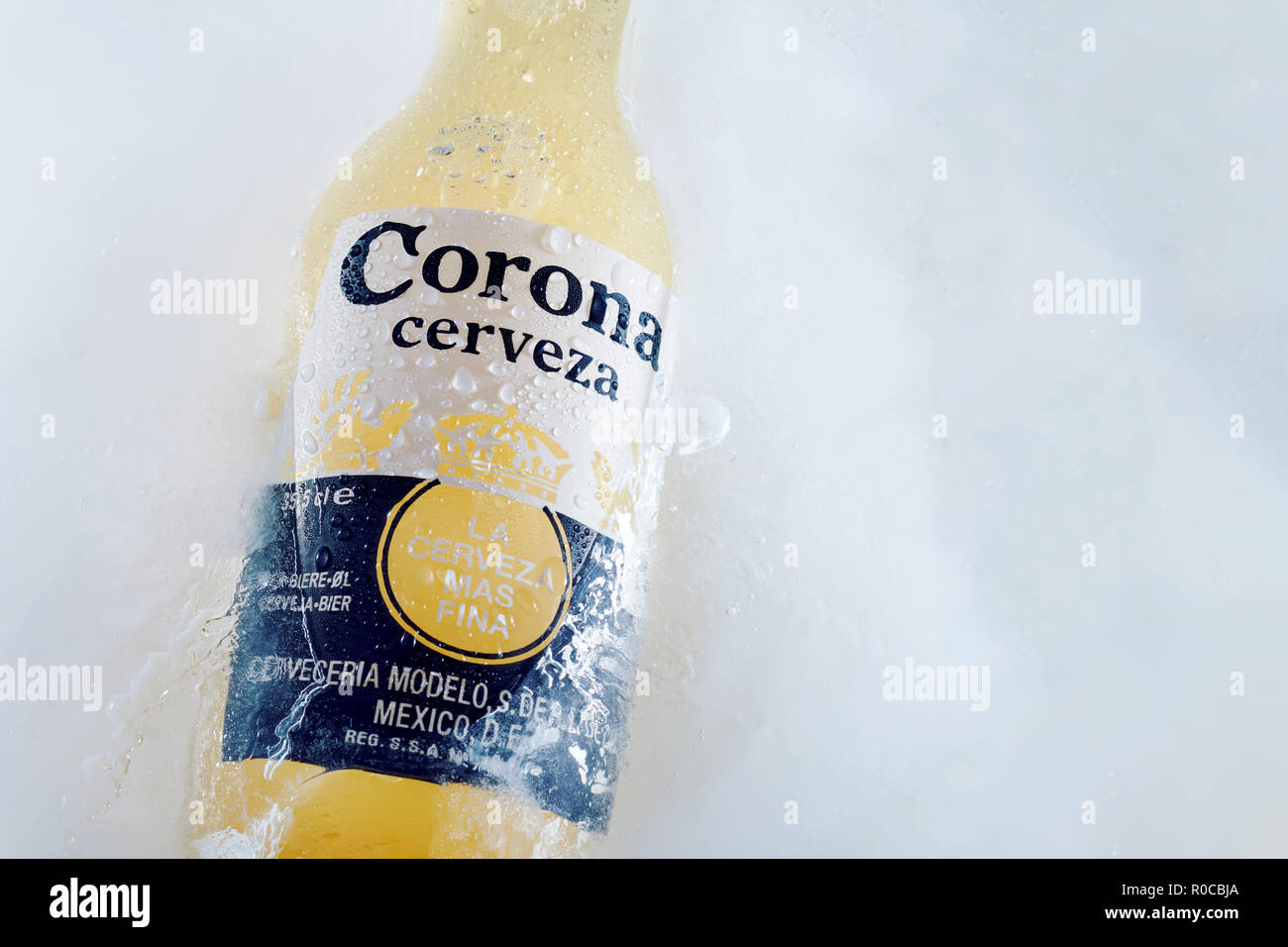 Close up Label Schießen von Corona Bierflasche in Eis begraben. Kühles Bier. Corona Cerveza Stockfoto