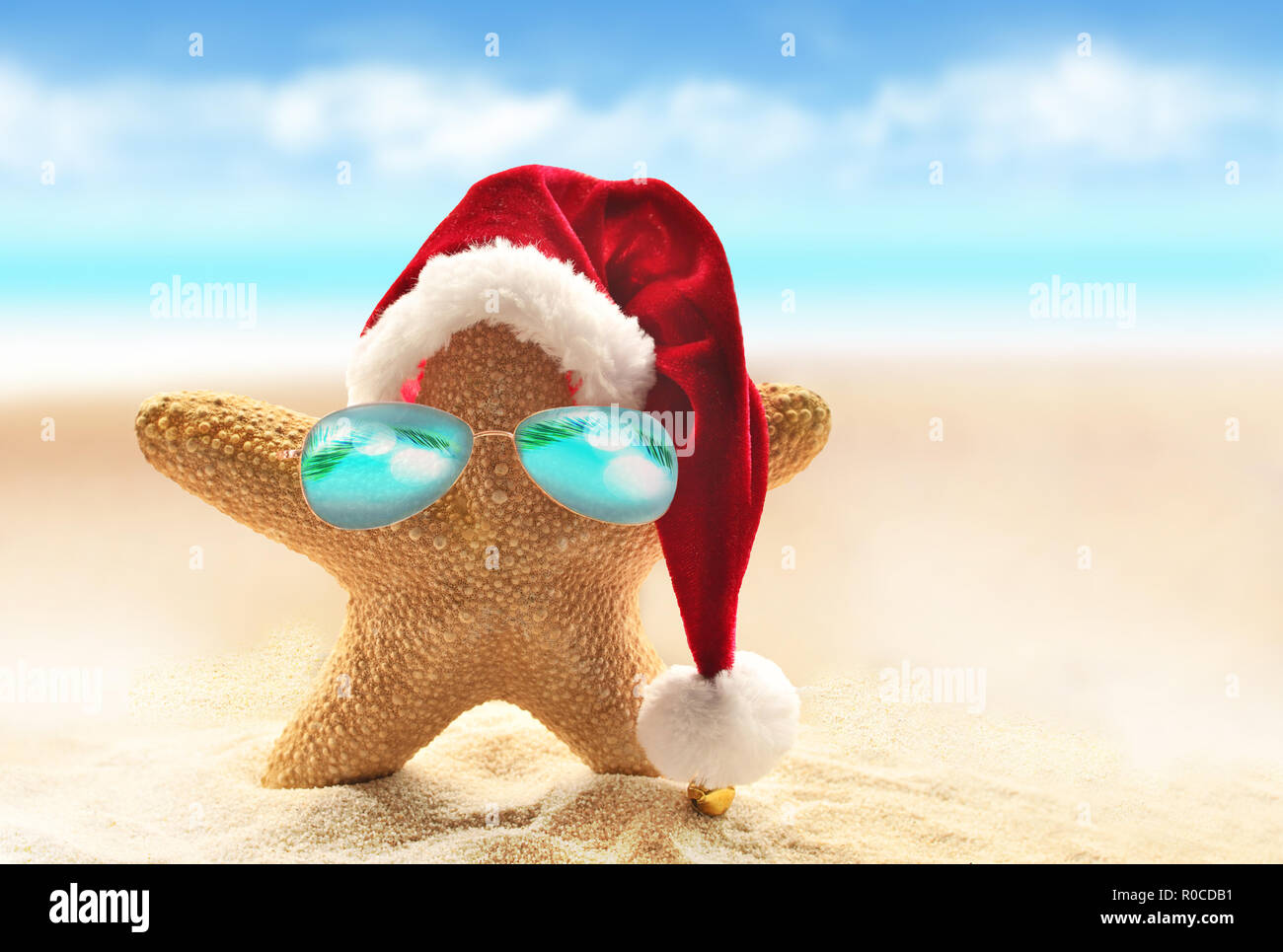 Weihnachten Im Sommer Geschichte 2025 Liv Zsazsa