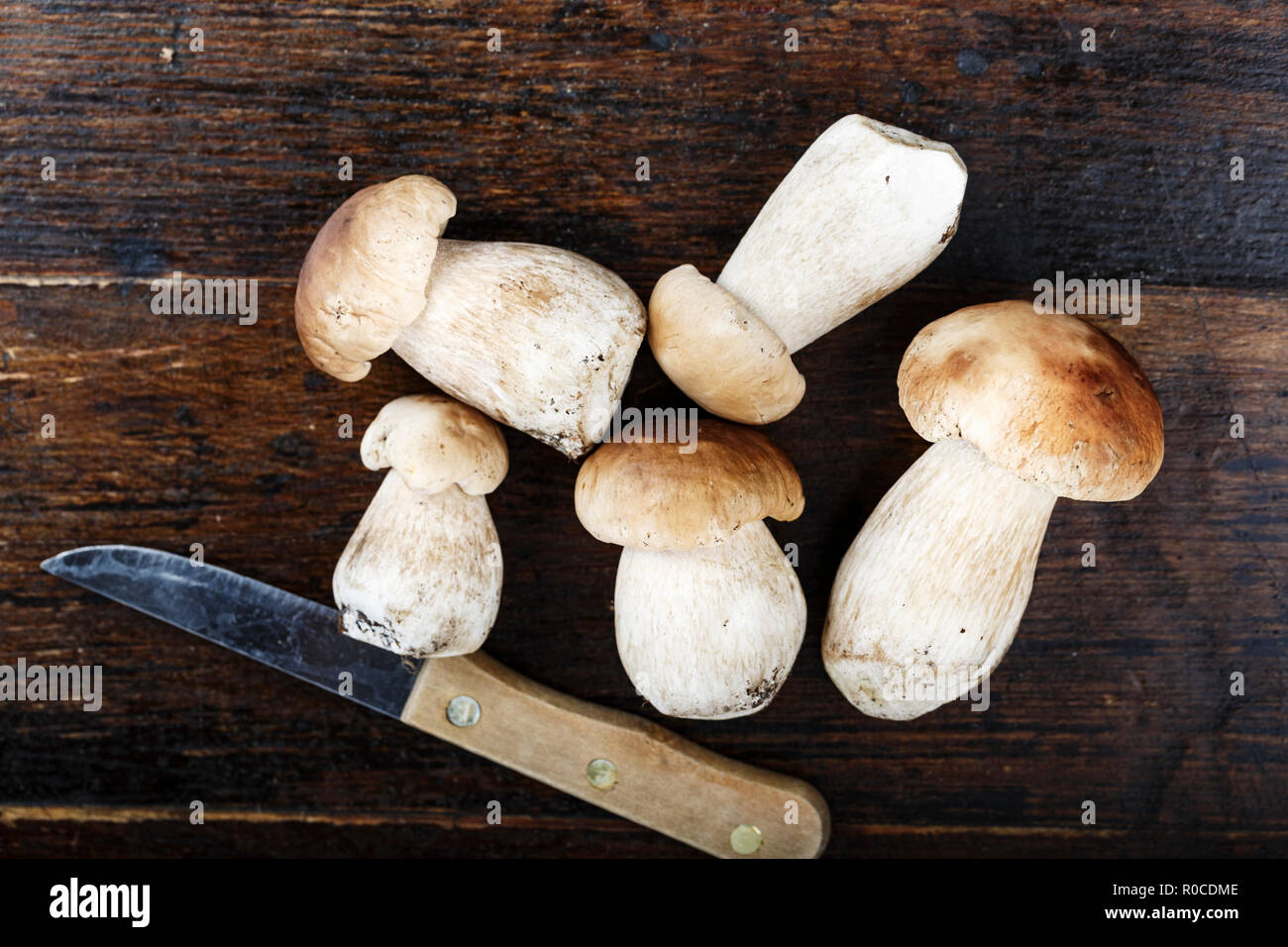 Ernte Pilze boletuses auf einem Holztisch. Platz für Text. Stockfoto