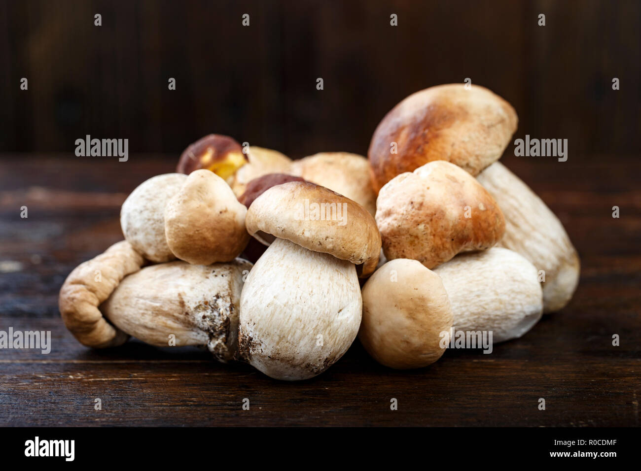 Ernte Pilze boletuses auf einem Holztisch. Platz für Text. Stockfoto