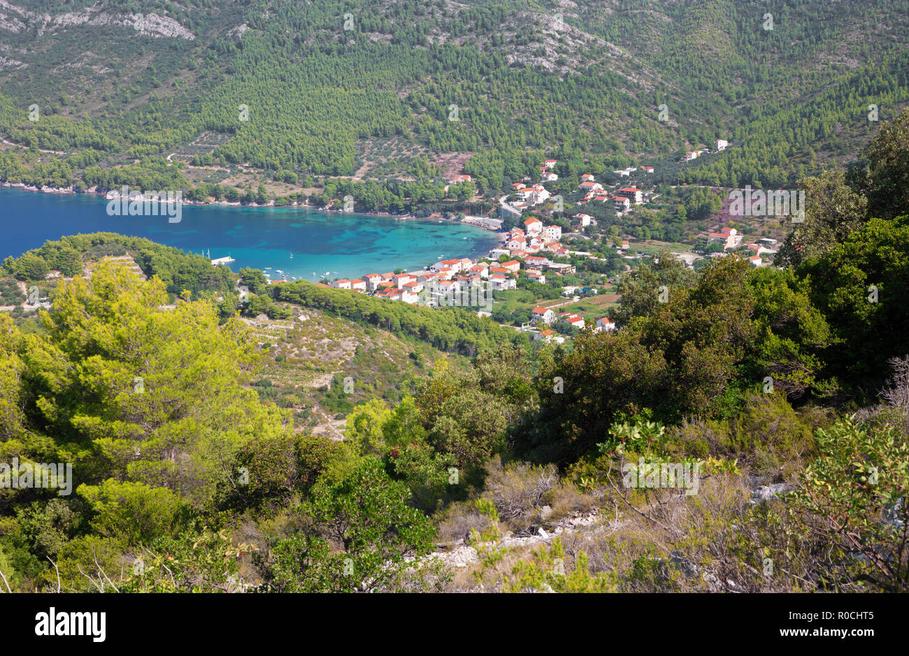 Kroatien - Die Landschaft und die Küste der Halbinsel Peliesac in der Nähe von Zuliana. Stockfoto