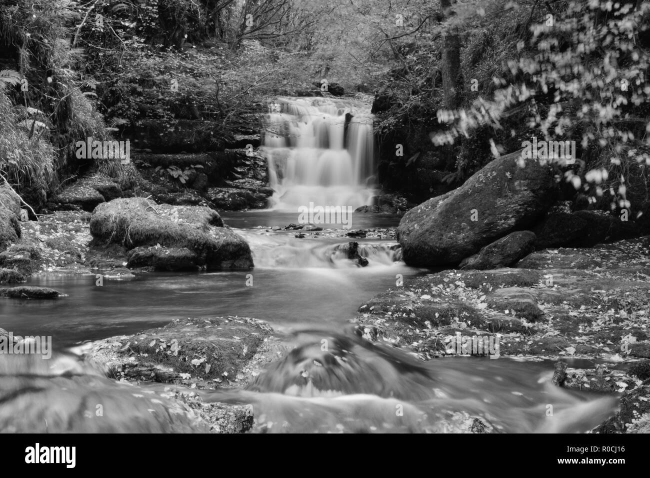 Lange Exposition der große Wasserfall bei Watersmeet in Devon Stockfoto