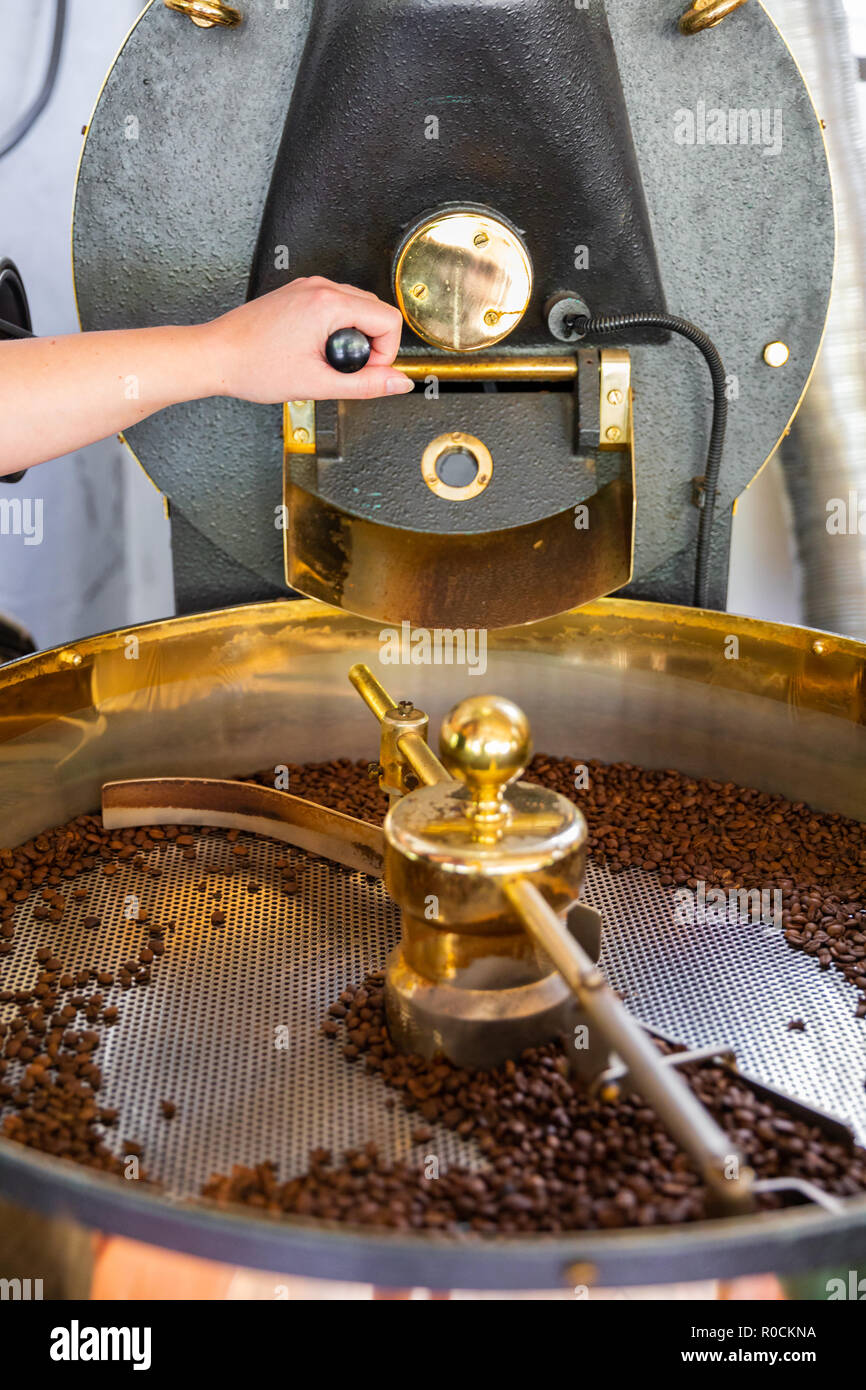 Weibliche Griffe Röster in organischen Kaffee Produktion Stockfoto