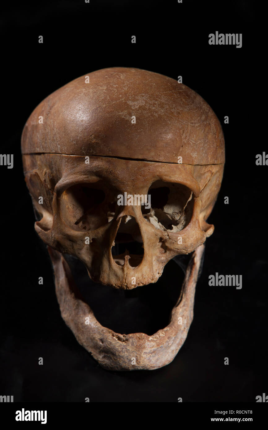 Totenkopf auf schwarzem Hintergrund Stockfoto