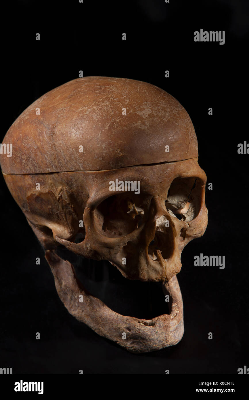 Totenkopf auf schwarzem Hintergrund Stockfoto