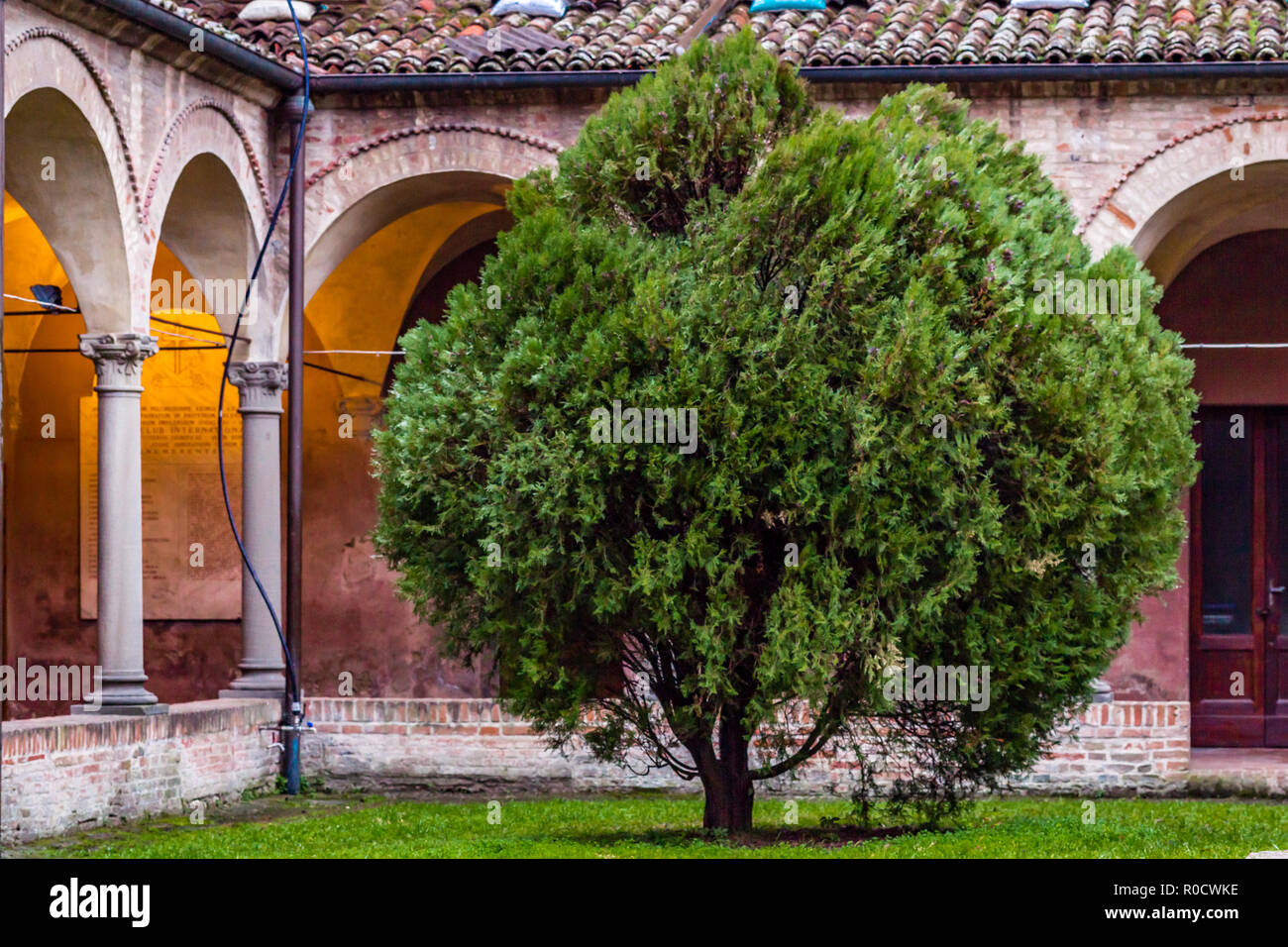 IMOLA (BO), Italien - 27 Dezember, 2017: Sonnenlicht ist aufschlussreich Kreuzgang im Kloster der Einhaltung Stockfoto