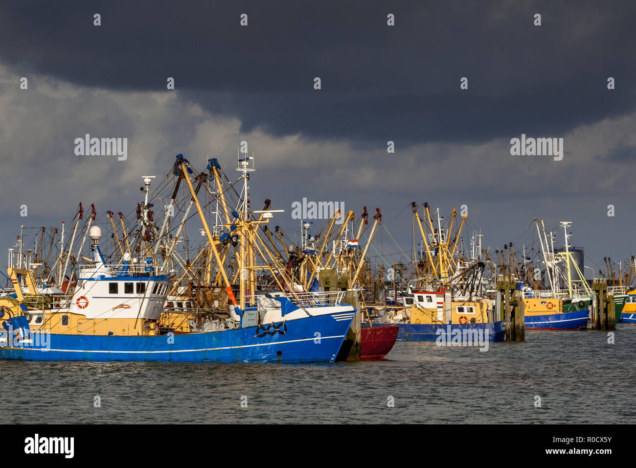Lauwersoog beherbergt eine der größten kommerziellen Fangflotten in den Niederlanden. Die Fischereitätigkeit konzentriert sich vor allem auf den Fang von Muscheln, Austern, sh Stockfoto