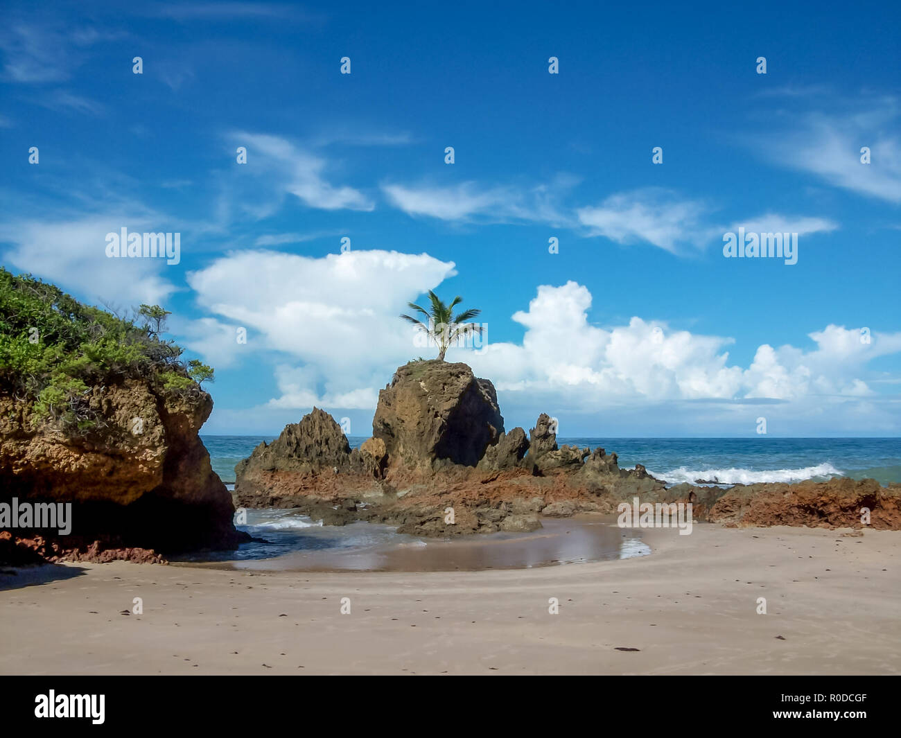 Einen schönen Blick auf eine isolierte Palm Tree über einen Felsen in einem Strand mit anderen Felsen in der Basis, mit dem Hintergrund, das Meer und ein blauer Himmel Stockfoto