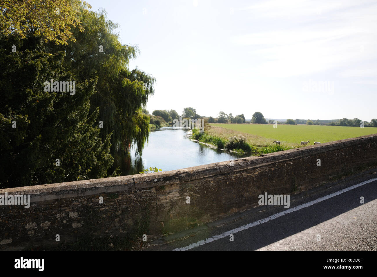 Fluss Nene, Fotheringhay, Northamptonshire Stockfoto