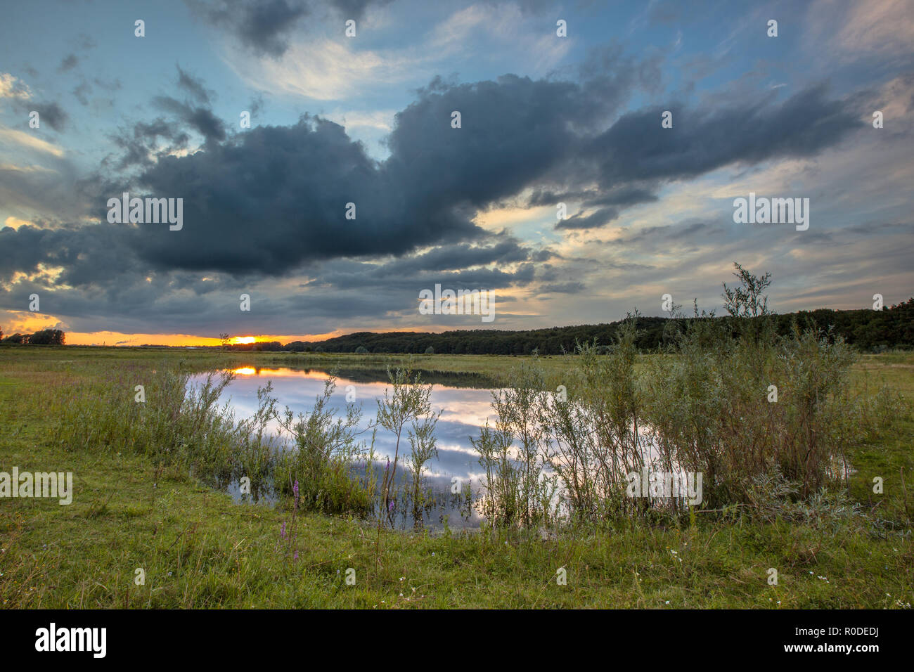 Dunkle Landschaft mit schweren Wolken im Fluss Gletschervorfelder des Rheins in der Nähe von Arnheim, Betuwe, Niederlande Stockfoto