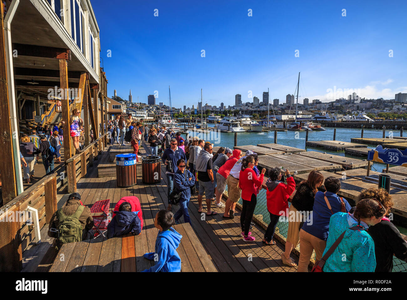 San Francisco, Kalifornien, USA - 14. August 2016: Touristen in San Francisco Pier 39, beliebte Attraktion für Seelöwen. Boote und Yachten angedockt am Fisherman's Wharf. San Francisco Stadtbild. Stockfoto