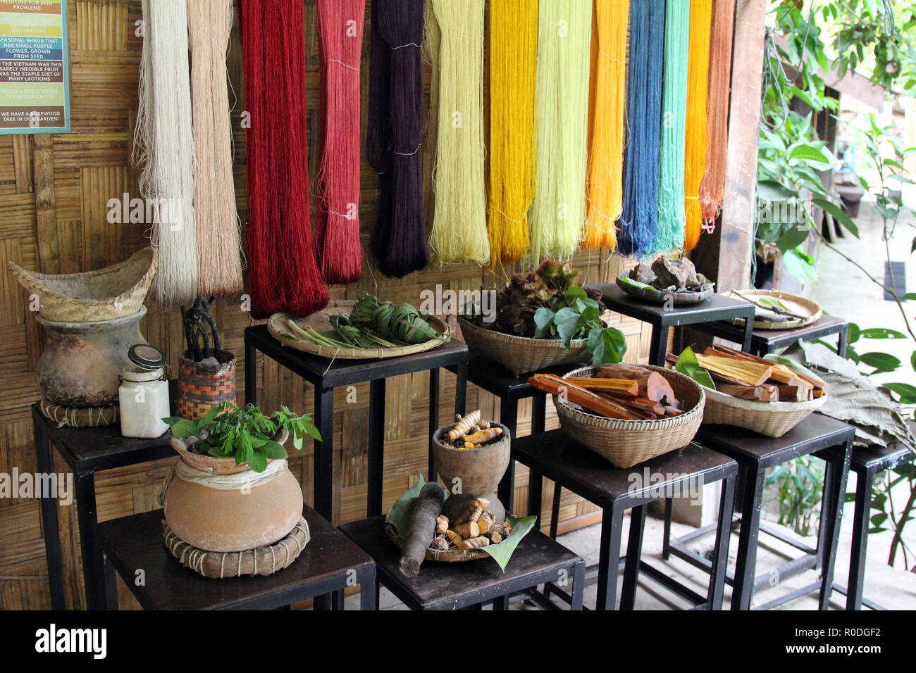 Anzeige der Quellen der natürlichen pflanzlichen Farbstoffen und die Farben, die Sie erstellen, Ok Pop Tok Weberei Zentrum, Luang Prabang, Laos Stockfoto